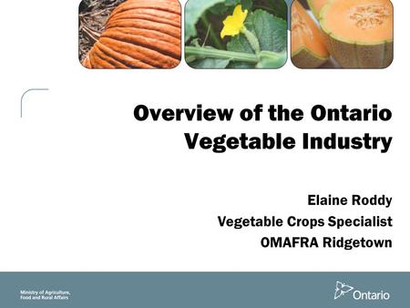 Overview of the Ontario Vegetable Industry Elaine Roddy Vegetable Crops Specialist OMAFRA Ridgetown.