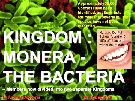 KINGDOM : MONERA - THE BACTERIA – Members now divided into two separate Kingdoms a) Archaebacteriab) Eubacteria Approximately 30,000 Species Have been.