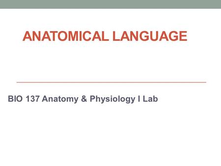 ANATOMICAL LANGUAGE BIO 137 Anatomy & Physiology I Lab.