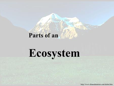 Parts of an Ecosystem