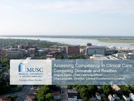 Assessing Competency in Clinical Care: Competing Demands and Realities Angela Egner, Chief Learning Officer Lisa Langdale, Director, Clinical Excellence.