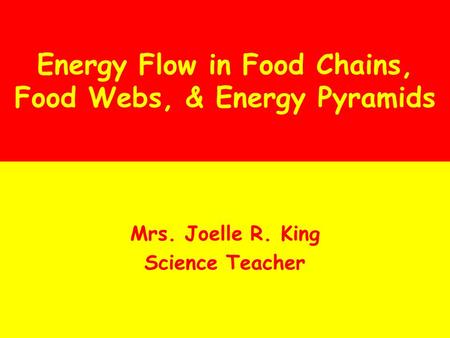 Energy Flow in Food Chains, Food Webs, & Energy Pyramids Mrs. Joelle R. King Science Teacher.