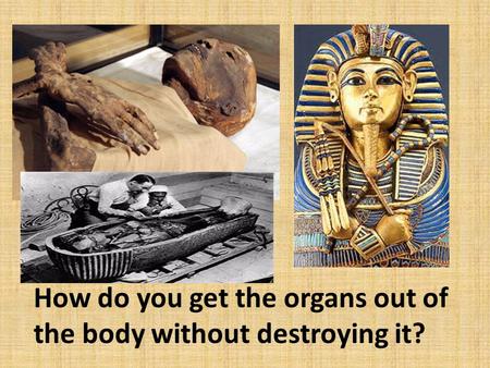 How do you get the organs out of the body without destroying it?