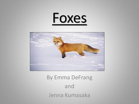 Foxes By Emma DeFrang and Jenna Kumasaka. Fox Pictures Arctic Fox Picture Fennec (desert) Fox picture Red Fox Picture.