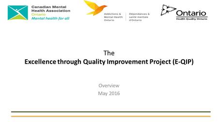 The Excellence through Quality Improvement Project (E-QIP) Overview May 2016.