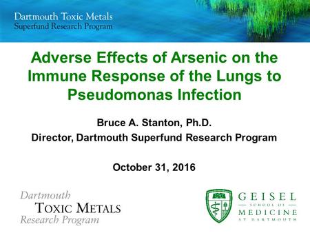 Adverse Effects of Arsenic on the Immune Response of the Lungs to Pseudomonas Infection Bruce A. Stanton, Ph.D. Director, Dartmouth Superfund Research.