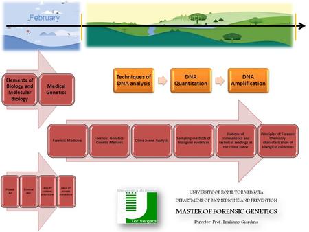 Elements of Biology and Molecular Biology Medical Genetics Private Law Criminal Law Laws of criminal procedure Laws of private procedure Forensic Medicine.