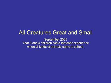 All Creatures Great and Small September 2008 Year 3 and 4 children had a fantastic experience when all kinds of animals came to school.