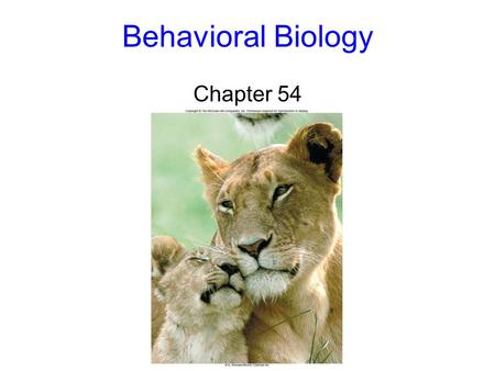 Behavioral Biology Chapter 54 2 Approaches Behavior: the way an animal responds to stimulus in its environment Proximate causation:“how” of behavior.