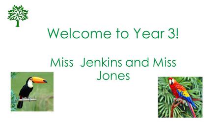 Welcome to Year 3! Miss Jenkins and Miss Jones. Expectations in Year 3 MATHS Number and place value Counts from zero in multiples of four, eight, fifty.