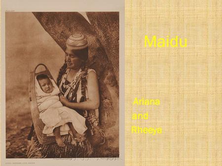 Ariana and Rheeya Maidu. Shelter The shelter was dug under ground, round, and covered with bark. The materials they used are sticks, grass, and dirt.