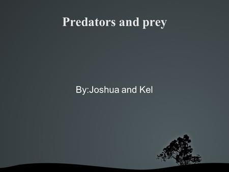 Predators and prey By:Joshua and Kel. How predators see and smell. Many predators' eyes are on the front of their heads. They look straight ahead to spot.