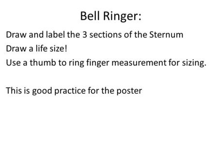 Bell Ringer: Draw and label the 3 sections of the Sternum Draw a life size! Use a thumb to ring finger measurement for sizing. This is good practice for.