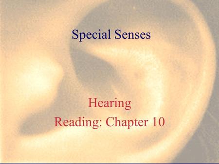 Special Senses Hearing Reading: Chapter 10. C. HEARING 1) Outer ear a) auricle = pinna, why is this structure important? b) external auditory meatus =