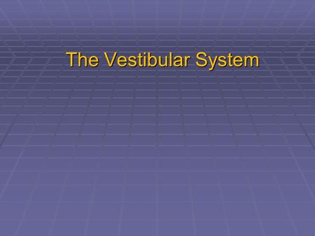 The Vestibular System. Anatomy of the ear Ampulla of Semicircular canal.