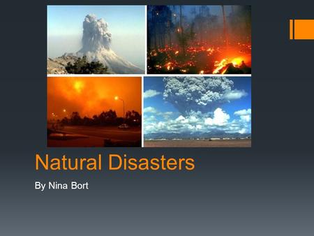 Natural Disasters By Nina Bort. Why is this important?  Natural disasters are important, because they don’t only effect buildings and land, they affect.