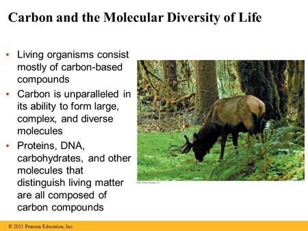 Carbon and the Molecular Diversity of Life Living organisms consist mostly of carbon-based compounds Carbon is unparalleled in its ability to form large,