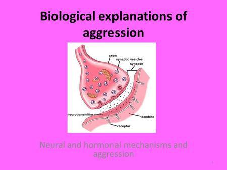 Biological explanations of aggression Neural and hormonal mechanisms and aggression 1.