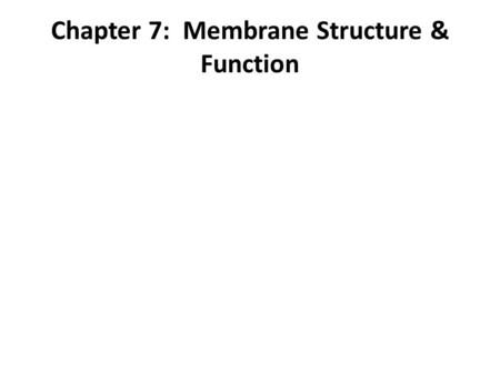 Chapter 7: Membrane Structure & Function. membrane a fluid mosaic of lipids, proteins, and carbohydrates. held together by hydrophobic interactions membrane.