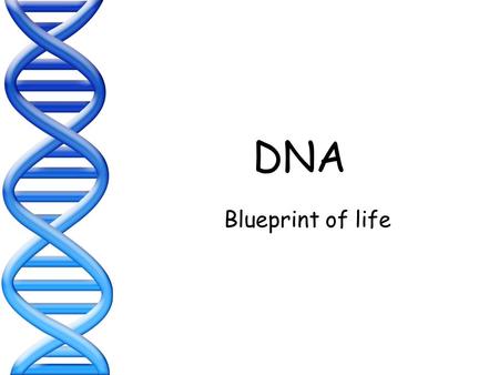 DNA Blueprint of life. DNA - DEOXYRIBONUCLEIC ACID.