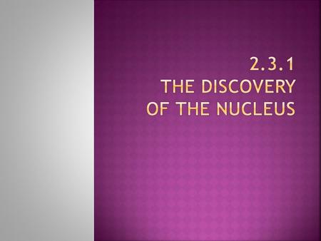 The Discovery of the Nucleus Rutherford's alpha scattering experiments were the first experiments in which individual particles were systematically scattered.