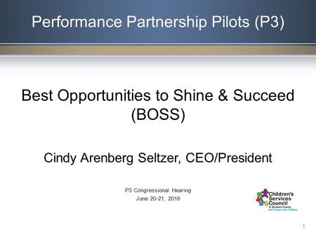 Performance Partnership Pilots (P3) Best Opportunities to Shine & Succeed (BOSS) Cindy Arenberg Seltzer, CEO/President P3 Congressional Hearing June 20-21,