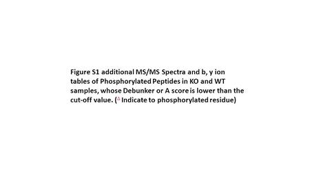 Figure S1additional MS/MS Spectra and b, y ion tables of Phosphorylated Peptides in KO and WT samples, whose Debunker or A score is lower than the cut-off.