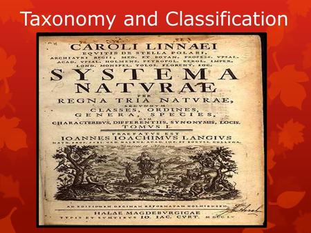 Taxonomy and Classification. What is classification? Organizing into groups.