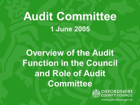 Audit Committee 1 June 2005 Overview of the Audit Function in the Council and Role of Audit Committee.