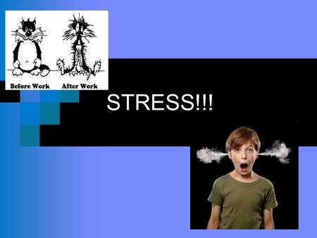 STRESS!!!. What is a stressor? ■ Anything that causes you stress…like the things you listed in your bell ringer. Top 4 Teen Stressors ■ School ■ Friends.