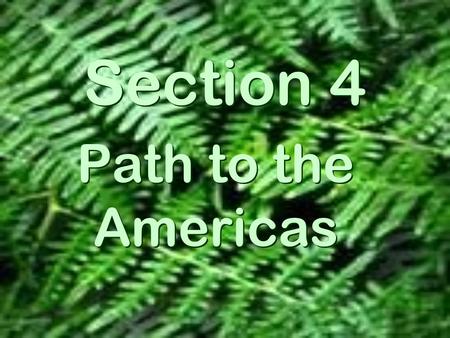 Section 4 Path to the Americas. The Earliest Americans  A land bridge, Beringia, once connected Asia and North America Where did they come from?