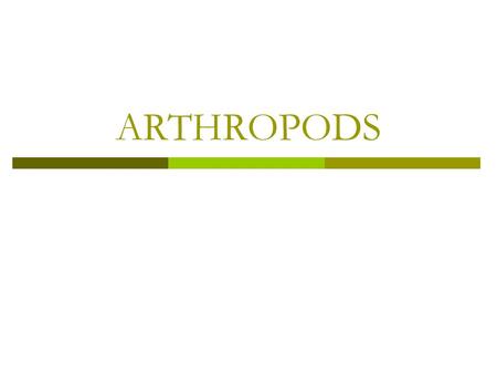 ARTHROPODS. ARTHROPOD CHARACTERISTICS  Largest phylum of animals  Most marine arthropods are crustaceans  Body is segmented, bilaterally symmetrical.