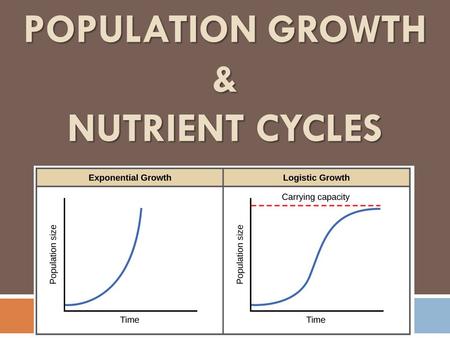 POPULATION GROWTH & NUTRIENT CYCLES. If you were smart you picked option 2…after the 30 days you would have made… $10,779,362.27…that’s almost 11 MILLION.