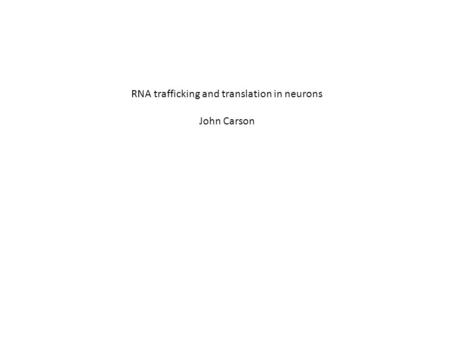 RNA trafficking and translation in neurons John Carson.