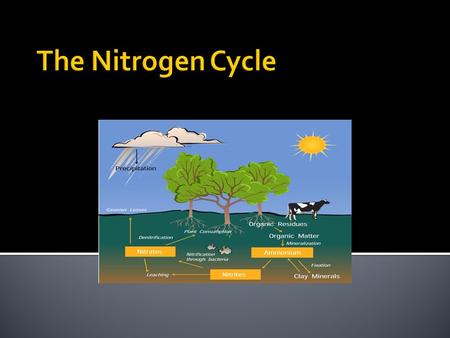  The movement of nitrogen, in its many forms, between the biosphere, atmosphere, and animals, is described by the nitrogen cycle.