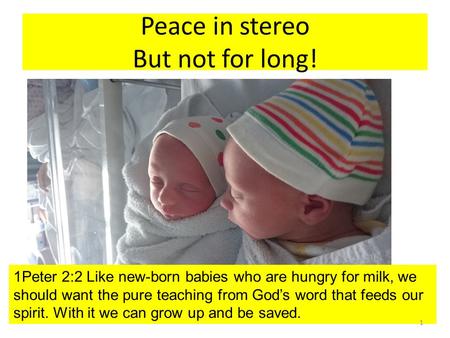 Peace in stereo But not for long! 1Peter 2:2 Like new-born babies who are hungry for milk, we should want the pure teaching from God’s word that feeds.