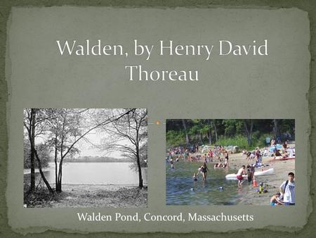 Walden Pond, Concord, Massachusetts. Why spend two years in a tiny cabin in the woods?