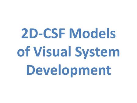 2D-CSF Models of Visual System Development. Model of Adult Spatial Vision.