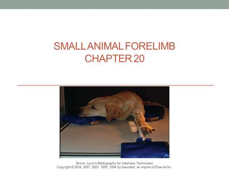 SMALL ANIMAL FORELIMB CHAPTER 20 Brown: Lavin’s Radiography for Veterinary Technicians Copyright © 2014, 2007, 2003, 1999, 1994 by Saunders, an imprint.