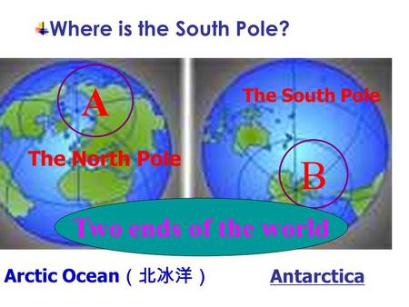 Antarctica The South Pole Arctic Ocean （北冰洋） The North Pole B A Two ends of the world Where is the South Pole?