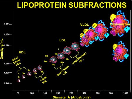 Dufaux, International Journal of Sports Medicine, 1982 TRIGLYCERIDES & TRAINING Increase Decrease No Change Numbers of Studies.