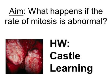 Aim: What happens if the rate of mitosis is abnormal? HW: Castle Learning.