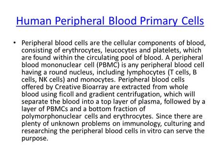 Human Peripheral Blood Primary Cells Peripheral blood cells are the cellular components of blood, consisting of erythrocytes, leucocytes and platelets,