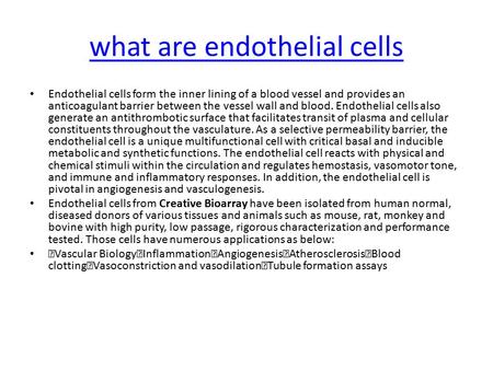 What are endothelial cells Endothelial cells form the inner lining of a blood vessel and provides an anticoagulant barrier between the vessel wall and.