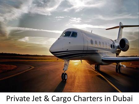 Private Jet & Cargo Charters in Dubai
