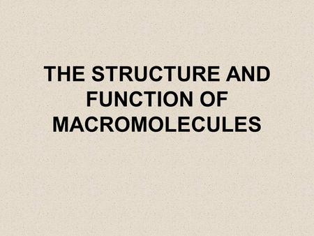 THE STRUCTURE AND FUNCTION OF MACROMOLECULES