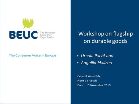 Workshop on flagship on durable goods