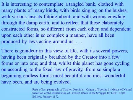 It is interesting to contemplate a tangled bank, clothed with many plants of many kinds, with birds singing on the bushes, with various insects flitting.