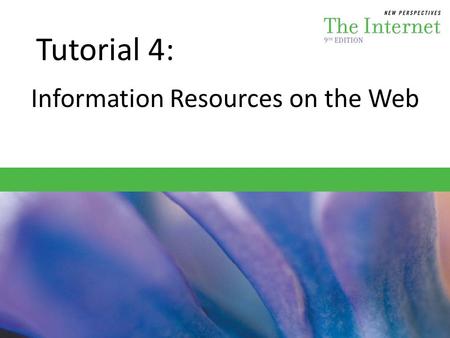 Information Resources on the Web