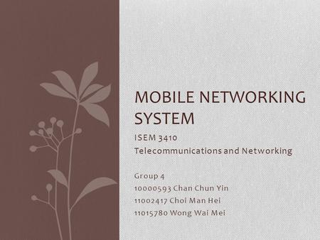 Mobile networking system